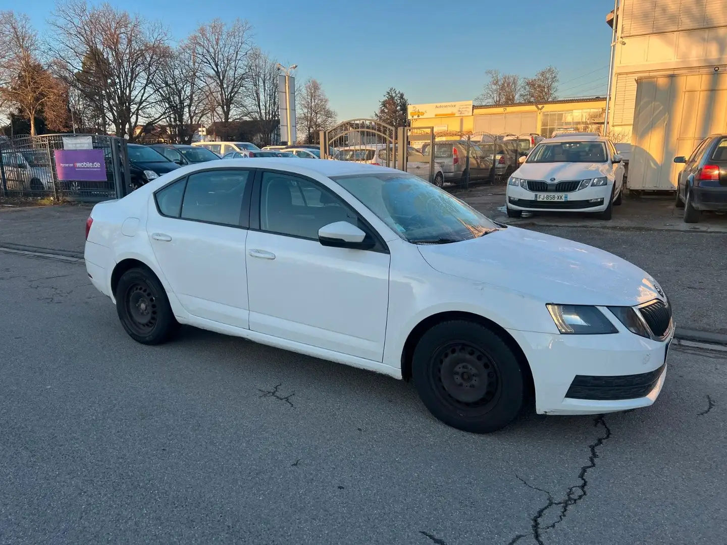 Skoda Octavia 1.6 TDI *limo*2017* Weiß - 1