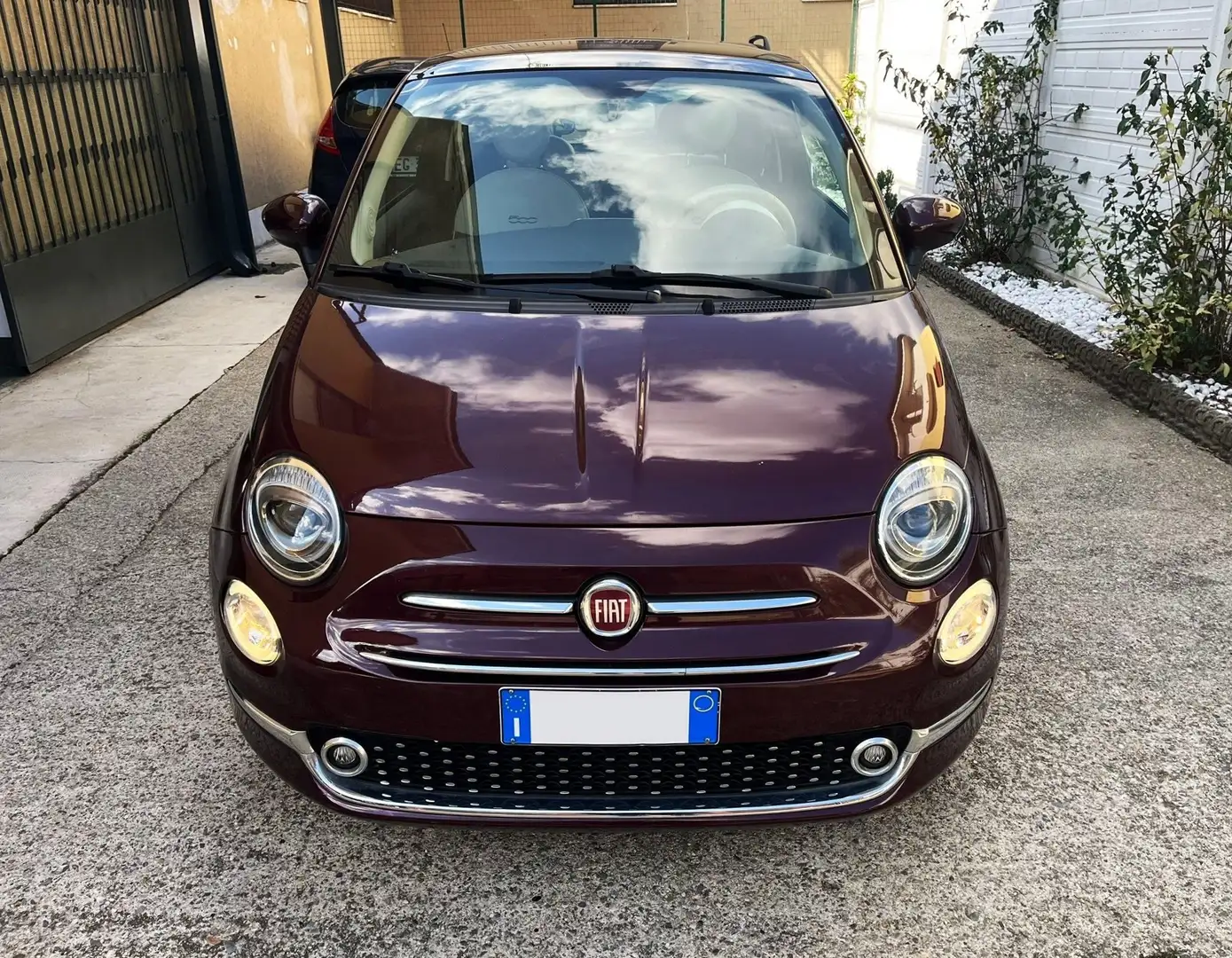 Fiat 500 1.2 Color Therapy 69cv *TETTO PANORAMICO* Mauve - 2