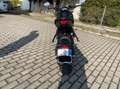 Triumph Trident 660 - thumbnail 4