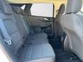 Ford Kuga 1.5 EcoBoost Trend FWD 120 Blanco - thumbnail 21