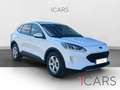 Ford Kuga 1.5 EcoBoost Trend FWD 120 Blanc - thumbnail 14