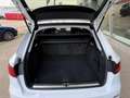 Audi A4 allroad quattro 2.0 TFSI MHEV Pro Line Plus Wit - thumbnail 7
