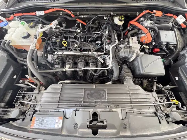 Ford Kuga view 13