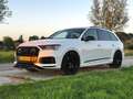 Audi Q7 55 TFSIe quattro Pro S Line Sport Dealer Onderhoud White - thumbnail 22