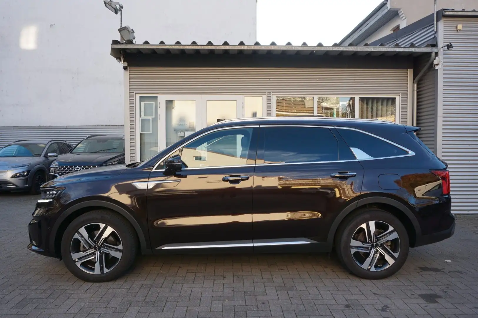 Kia Sorento Platinum 4WD Plug-In Pano Bose 360 BiLED Braun - 1