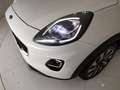 Ford Puma 1.0 ecoboost Hybrid Titanium s&s 125cv auto Weiß - thumbnail 6