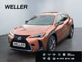 Lexus UX 300h F SPORT Design*LED+SHZ*Kamera*CarPlay* Rouge - thumbnail 1