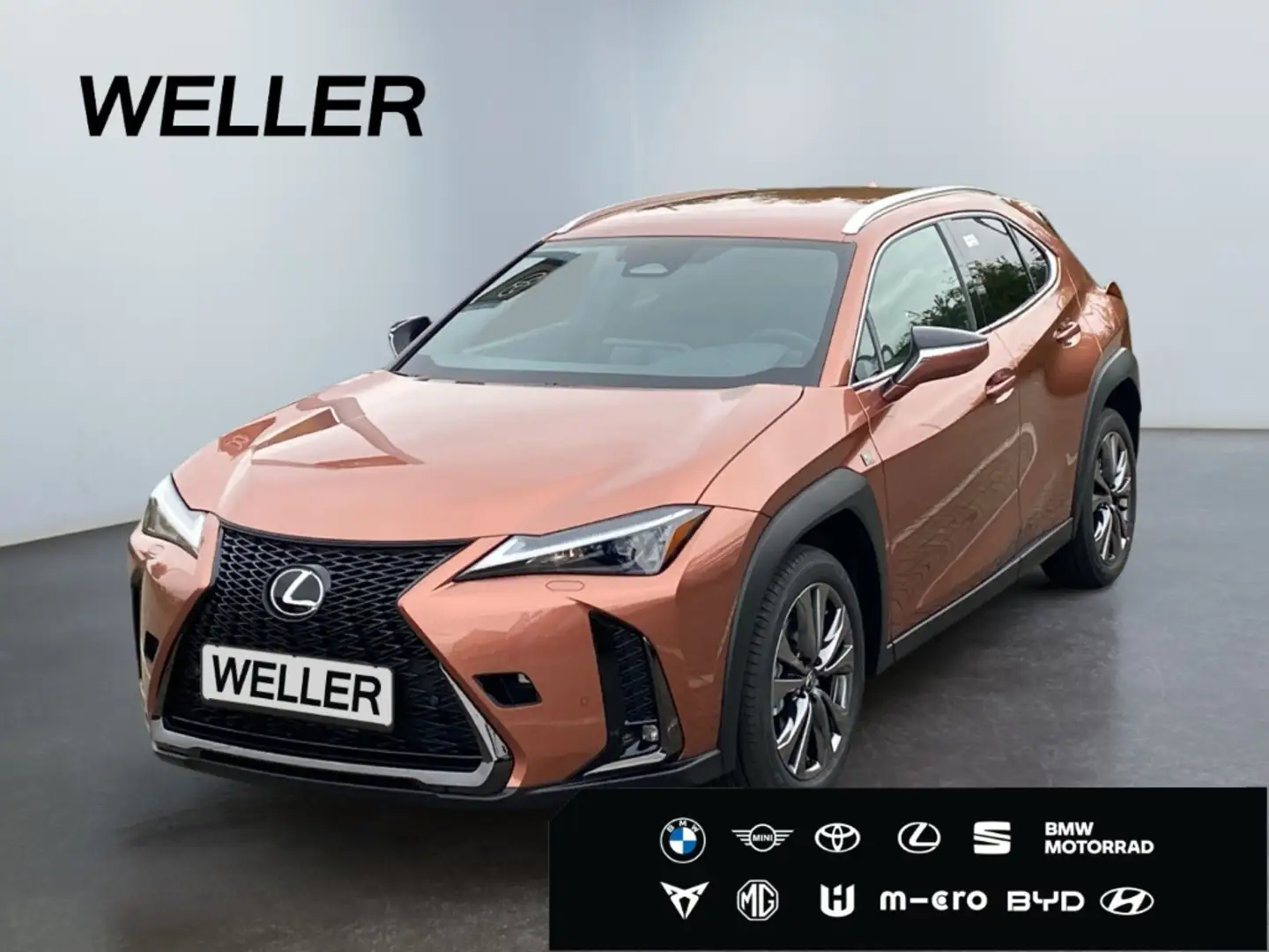 Lexus UX 300h F SPORT Design*LED+SHZ*Kamera*CarPlay* Rouge - 1