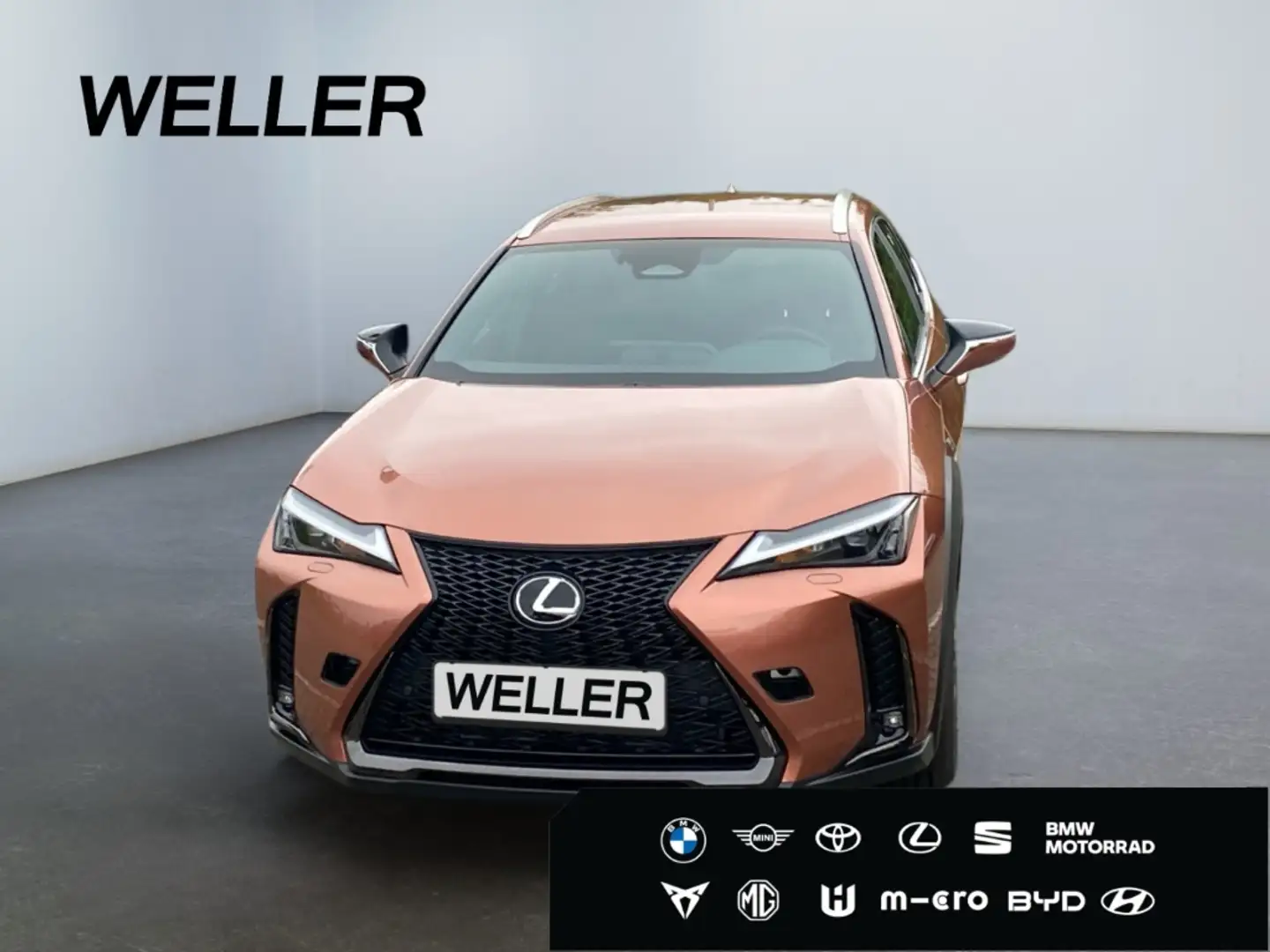 Lexus UX 300h F SPORT Design*LED+SHZ*Kamera*CarPlay* Rouge - 2