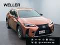Lexus UX 300h F SPORT Design*LED+SHZ*Kamera*CarPlay* Rouge - thumbnail 4