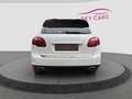 Porsche Cayenne 3.0 Diesel Aut. *Leder*Panorama-Schiebedach*Luft. Weiß - thumbnail 5