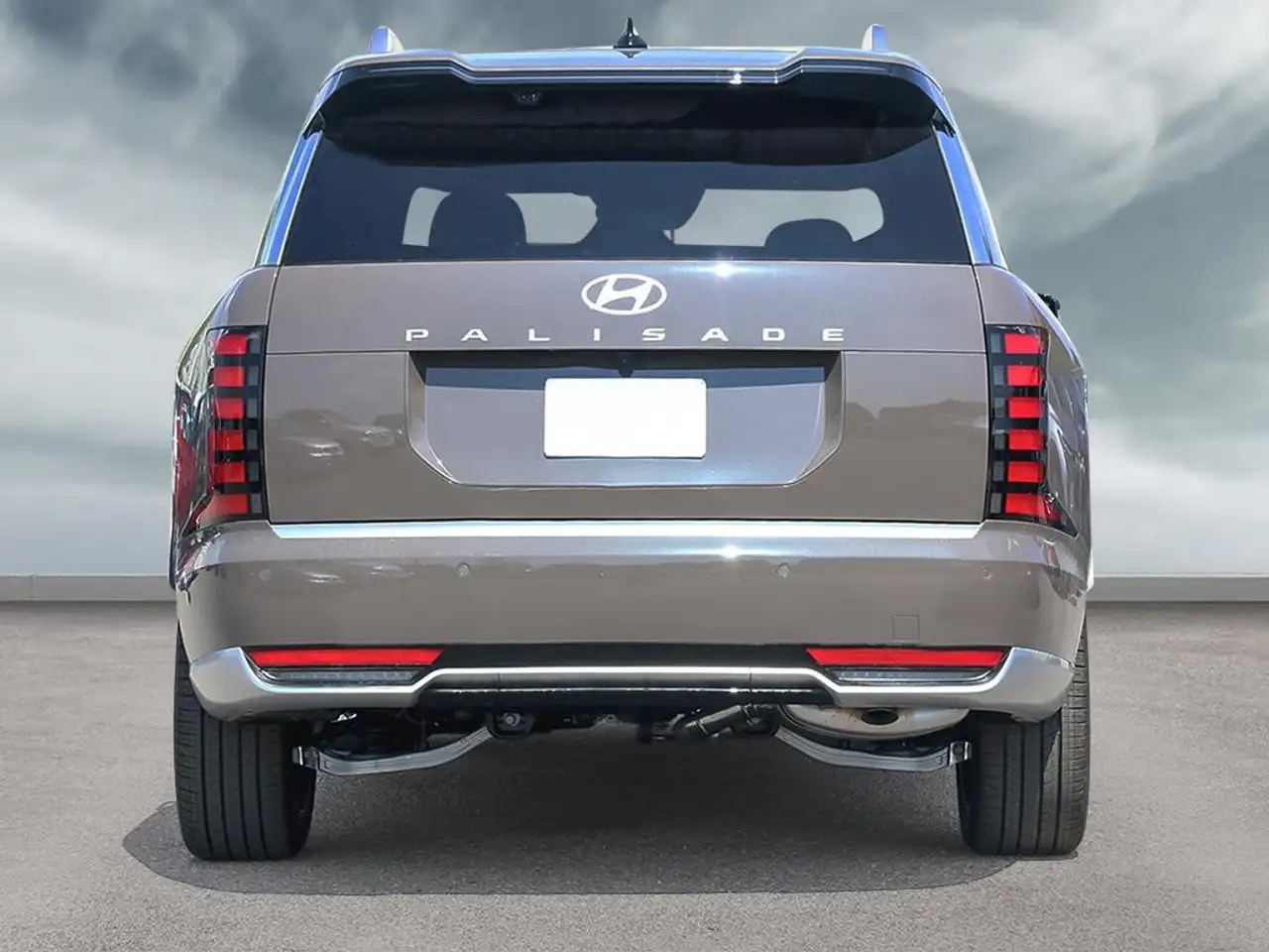 Hyundai PALISADE photo Hyundai PALISADE
