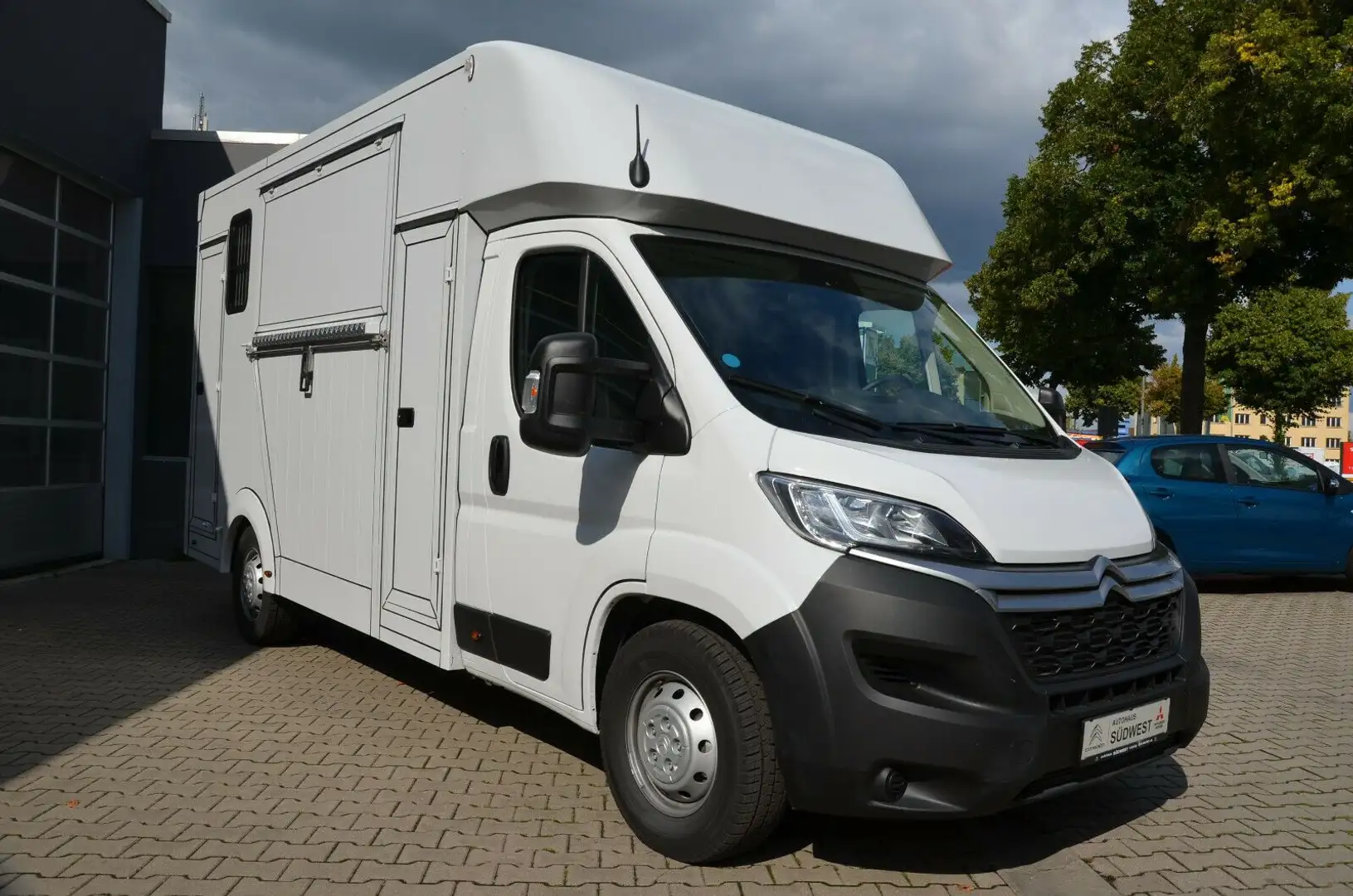 Citroen Jumper BlueHDI165 Pferdetransporter Weiß - 1