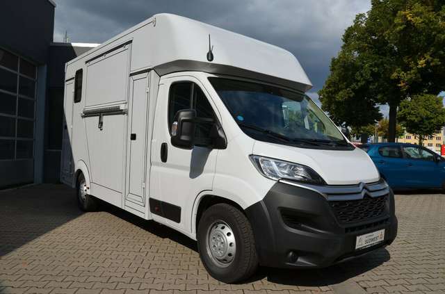 Imagine Citroen Jumper BlueHDI165 Pferdetransporter