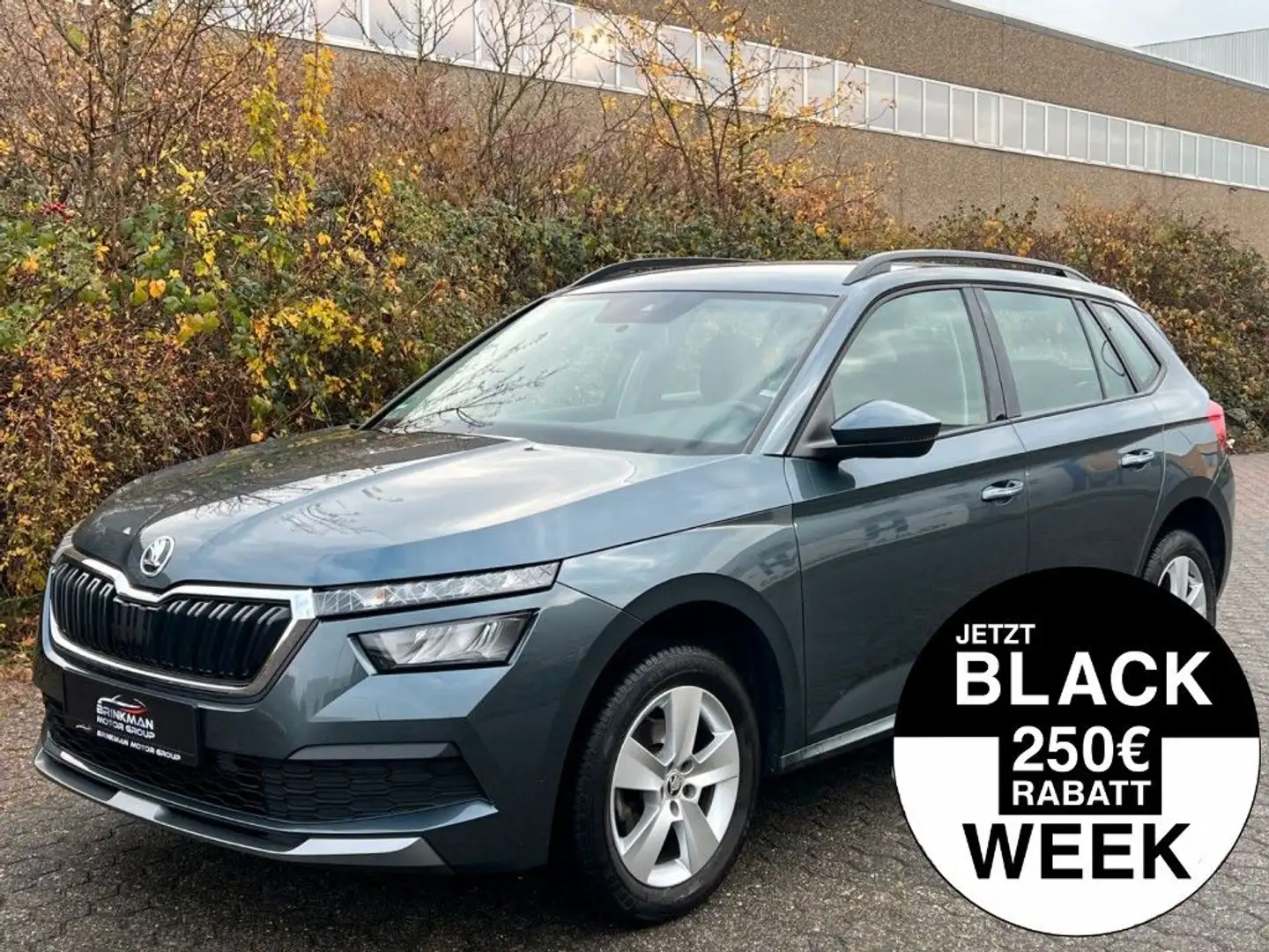 Skoda Kamiq Ambition 1.0TSI 95PS *SH*ACC*KLIMA*LED Grau - 1