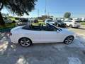 Audi A5 A5 Cabrio 1.8 tfsi Ambition 160cv Bianco - thumbnail 12