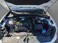 Audi Q2 S line 35 TFSI 110150 kWPS S tronic Weiß - thumbnail 21