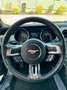 Ford Mustang 2,3 EcoBoost Schwarz - thumbnail 11