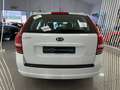 Kia Ceed / cee'd SW 1.6 Concept Plus Bianco - thumbnail 21