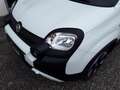Fiat Panda Pandanina FireFly Hybrid 70 Cross-Look Weiß - thumbnail 8