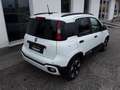 Fiat Panda Pandanina FireFly Hybrid 70 Cross-Look Weiß - thumbnail 4