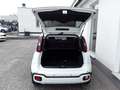 Fiat Panda Pandanina FireFly Hybrid 70 Cross-Look Weiß - thumbnail 7
