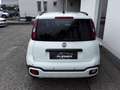 Fiat Panda Pandanina FireFly Hybrid 70 Cross-Look Weiß - thumbnail 6