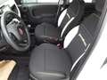 Fiat Panda Pandanina FireFly Hybrid 70 Cross-Look Weiß - thumbnail 12