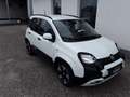 Fiat Panda Pandanina FireFly Hybrid 70 Cross-Look Weiß - thumbnail 3