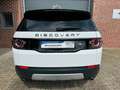 Land Rover Discovery DISCOVERY SPORT 2.2TD4 4WD HSE AUTOM,LEDER Weiß - thumbnail 5