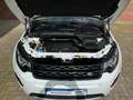 Land Rover Discovery DISCOVERY SPORT 2.2TD4 4WD HSE AUTOM,LEDER Weiß - thumbnail 16