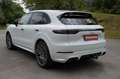Porsche Cayenne Platinum Edition/VOLL*PAN- DACH*SHZG*21 Weiß - thumbnail 6