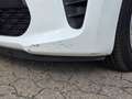 Kia Picanto Edition 7 Weiß - thumbnail 18