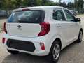 Kia Picanto Edition 7 Weiß - thumbnail 6