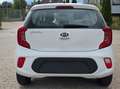 Kia Picanto Edition 7 Weiß - thumbnail 5