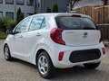 Kia Picanto Edition 7 Weiß - thumbnail 4