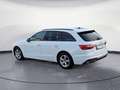 Audi A4 35 TFSI S tronic Weiß - thumbnail 4