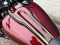 Harley-Davidson Lowrider ST FXLRST 117 CUSTOM BASSANI (BJ 2024) - thumbnail 9