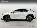 Lexus UX 200 SUV PREMIUM 2.0 Híbrido Gasolina Transmisión Aut Weiß - thumbnail 3