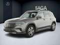 Mercedes-Benz EQB 250 250 + Business Line 7 places - thumbnail 1