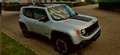 Jeep Renegade Renegade 2.0 MultiJet  Automatik Trailhawk Grijs - thumbnail 3