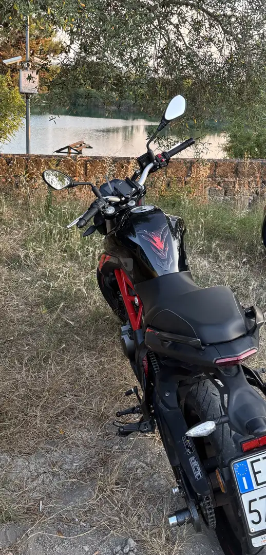 Benelli BN 302 Naked - 2