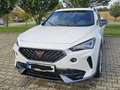 CUPRA Formentor Formentor VZ 2.0 TSI 4Drive DSG AHK Pano LED Weiß - thumbnail 1