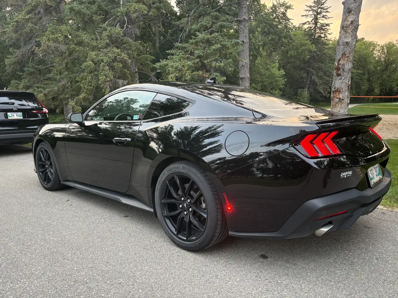 Mustang