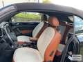 Volkswagen Beetle Cabriolet Cup BMT 2.0 TDI NAVI~LEDER~ Negro - thumbnail 13