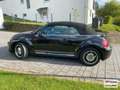 Volkswagen Beetle Cabriolet Cup BMT 2.0 TDI NAVI~LEDER~ Negro - thumbnail 6