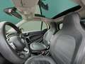 smart forTwo EQ fortwo PRIME+22kW+KAMERA+EXCLUSIVE+PLUS-PAKET Grau - thumbnail 14