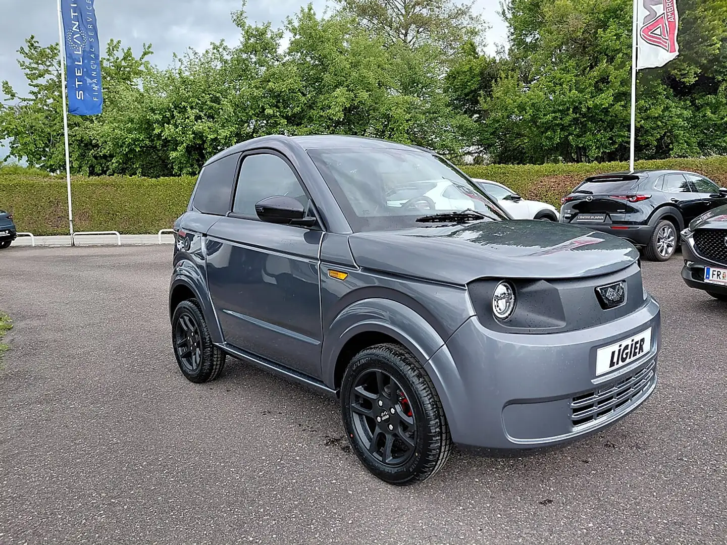 Ligier Sonstige Ligie Myli Max Diesel Servo **Autofahren ab 15 ... Grau - 1