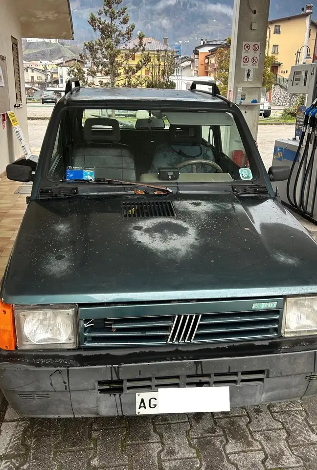 Fiat Panda 1.1 Country Club 4x4, foto 1