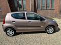 Suzuki Alto 1.0 Comfort Plus Marrone - thumbnail 6